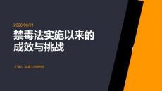 禁毒法实施以来的成效与挑战