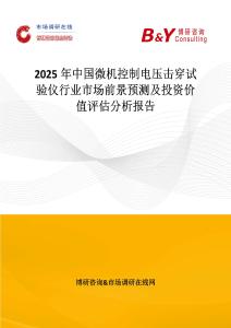 2025年中國微機控制電壓擊穿試驗儀行業市場前景預測及投資價值評估分析報告
