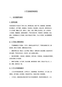 工艺流程控制规范