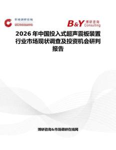 2026年中国投入式超声震板装置行业市场现状调查及投资机会研判报告