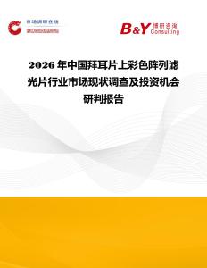 2026年中國拜耳片上彩色陣列濾光片行業(yè)市場現(xiàn)狀調(diào)查及投資機(jī)會研判報告