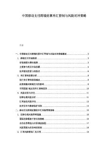 中国移动支付跨境结算外汇管制与风险对冲策略