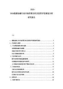 2025-2030能源金融行业市场供需分析及投资评估规划分析研究报告