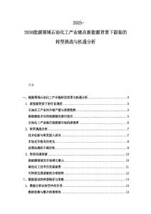 2025-2030能源領域石油化工產業鏈在新能源背景下面臨的轉型挑戰與機遇分析