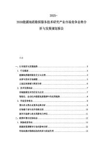 2025-2030能源地质勘探服务技术研究产业市场竞争态势分析与发展规划报告