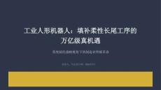 工业人形机器人深度研究：填补柔性长尾工序的万亿级真机遇 系统演化战略视角下的制造业终极革命
