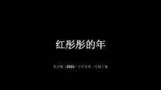 苏少版（2024）小学美术二年级上册《红彤彤的年》教学课件