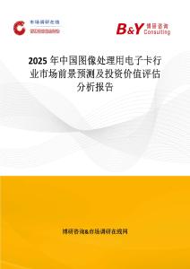 2025年中國圖像處理用電子卡行業市場前景預測及投資價值評估分析報告