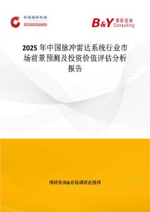 2025年中國脈沖雷達系統行業市場前景預測及投資價值評估分析報告