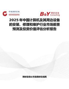2025年中国计算机及其周边设备的安装、修理和维护行业市场前景预测及投资价值评估分析报告