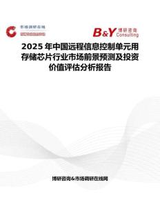 2025年中國遠程信息控制單元用存儲芯片行業市場前景預測及投資價值評估分析報告