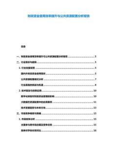 财政资金使用效率提升与公共资源配置分析报告