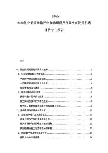 2025-2030航空航天運輸行業市場調研及行業潛在投資機遇評估專門報告