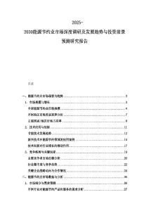 2025-2030能源節約業市場深度調研及發展趨勢與投資前景預測研究報告