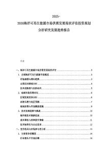 2025-2030海洋可再生能源市場供需發展現狀評估投資規劃分析研究發展趨勢報告