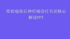 带状疱疹后神经痛诊疗共识核心解读PPT