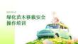 绿化苗木移栽安全
