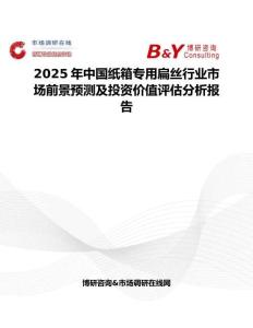 2025年中国纸箱专用扁丝行业市场前景预测及投资价值评估分析报告