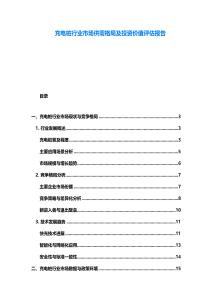 充電樁行業市場供需格局及投資價值評估報告
