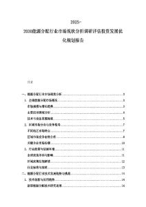 2025-2030能源分配行業市場現狀分析調研評估投資發展優化規劃報告