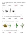 2026年新疆中考生物试卷