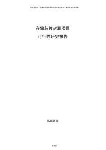 存儲芯片封測項目可行性研究報告