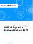 2025年大语言模型（LLM）应用十大安全风险洞察报告