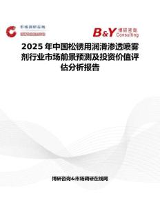 2025年中国松锈用润滑渗透喷雾剂行业市场前景预测及投资价值评估分析报告
