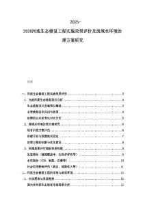 2025-2030河流生态修复工程实施效果评价及流域水环境治理方案研究