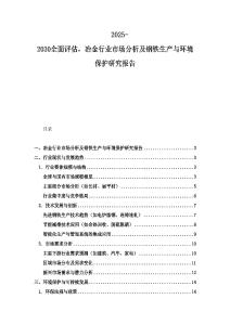 2025-2030全面评估，冶金行业市场分析及钢铁生产与环境保护研究报告