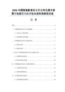 2026中国智能影音娱乐行业市场潜力供需评估投资风险评估规划布局研究报告