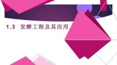 高中生物精品课件： 发酵工程及其应用课件
