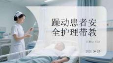 躁动患者安全护理带教
