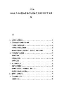 2025-2030航空业市场动态解析与战略布局优化深度研究报告