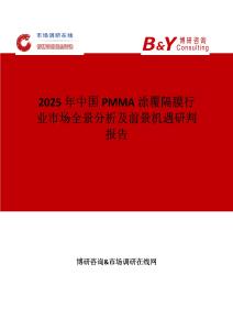 2025年中國PMMA涂覆隔膜行業(yè)市場全景分析及前景機(jī)遇研判報告