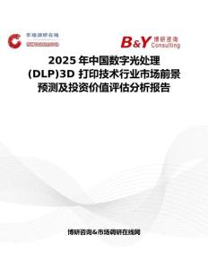 2025年中国数字光处理(DLP)3D 打印技术行业市场前景预测及投资价值评估分析报告