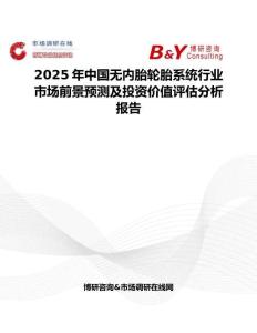 2025年中國(guó)無內(nèi)胎輪胎系統(tǒng)行業(yè)市場(chǎng)前景預(yù)測(cè)及投資價(jià)值評(píng)估分析報(bào)告