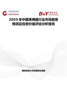 2025年中国束缚器行业市场前景预测及投资价值评估分析报告