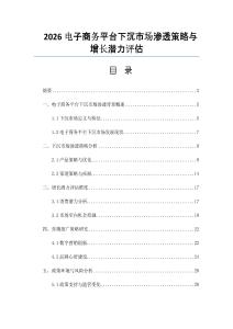 2026电子商务平台下沉市场渗透策略与增长潜力评估