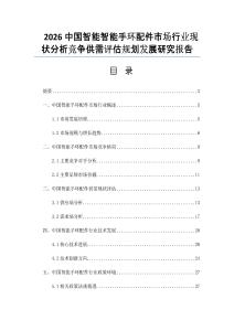 2026中国智能智能手环配件市场行业现状分析竞争供需评估规划发展研究报告
