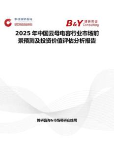 2025年中国云母电容行业市场前景预测及投资价值评估分析报告