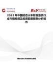 2025年中國動態火車稱重系統行業市場規模及投資前景預測分析報告
