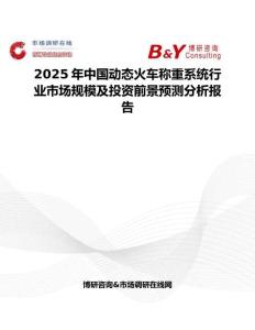 2025年中國動(dòng)態(tài)火車稱重系統(tǒng)行業(yè)市場規(guī)模及投資前景預(yù)測分析報(bào)告