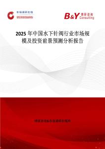 2025年中国水下针阀行业市场规模及投资前景预测分析报告