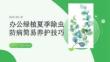 办公绿植夏季除虫防病简易养护技巧