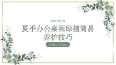 夏季办公桌面绿植简易养护技巧