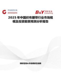 2025年中国织布腰带行业市场规模及投资前景预测分析报告