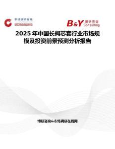 2025年中國長閥芯套行業(yè)市場規(guī)模及投資前景預(yù)測分析報(bào)告