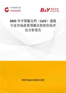 2025年中國氟化鈣（CaF2）透鏡行業市場前景預測及投資價值評估分析報告