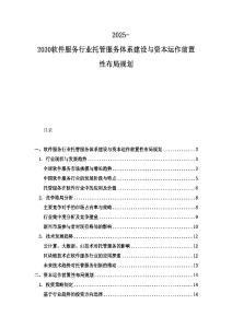 2025-2030软件服务行业托管服务体系建设与资本运作前置性布局规划
